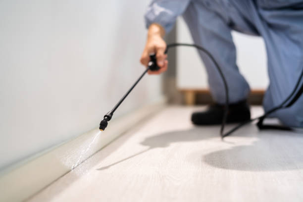 Rodent Entry Point Assessment in Lewisville