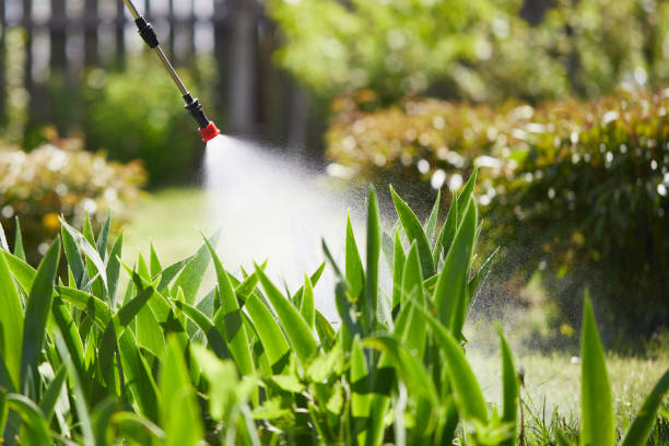 Tamper-Resistant Bait Stations for Rodents in Lewisville