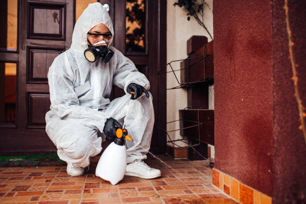 Attic and Crawl Space Rodent Treatment in Lewisville
