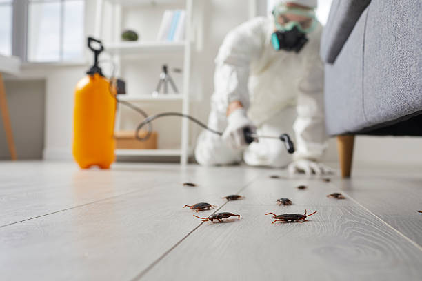 Commercial Rodent Management in Lewisville
